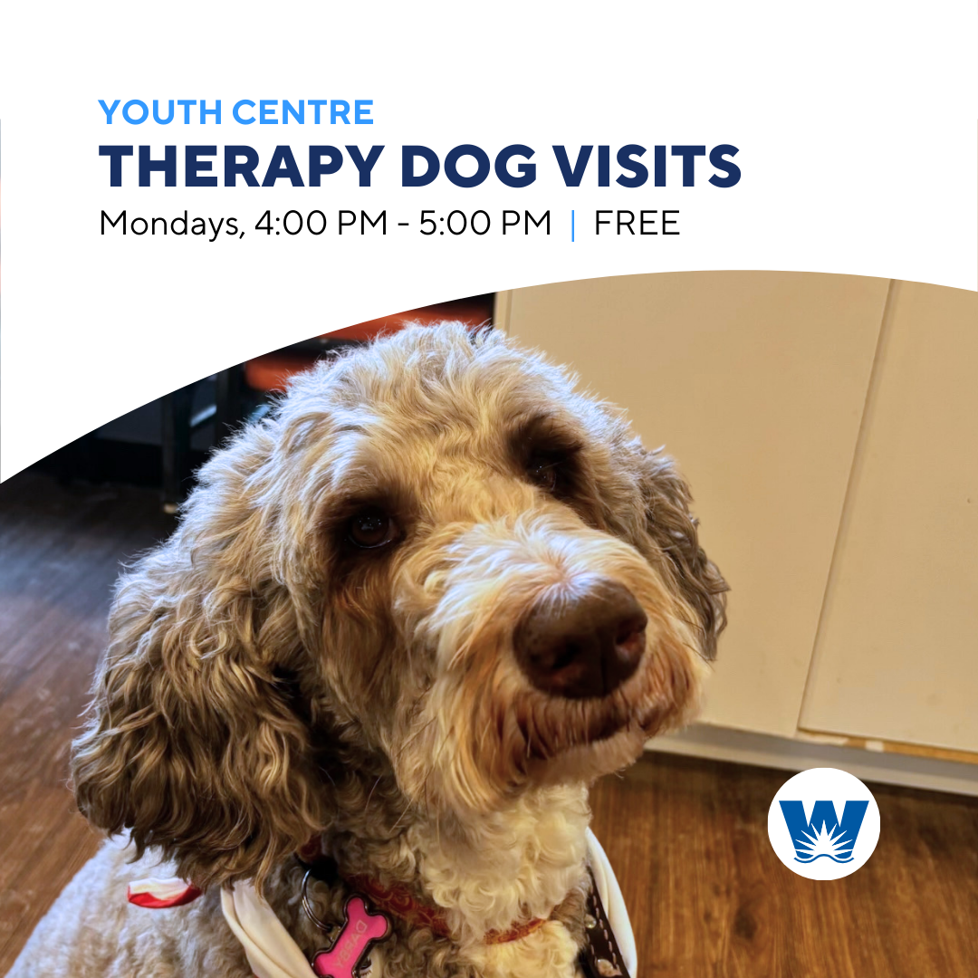 Therapy Dog Visits, Monday's 4:00-5 